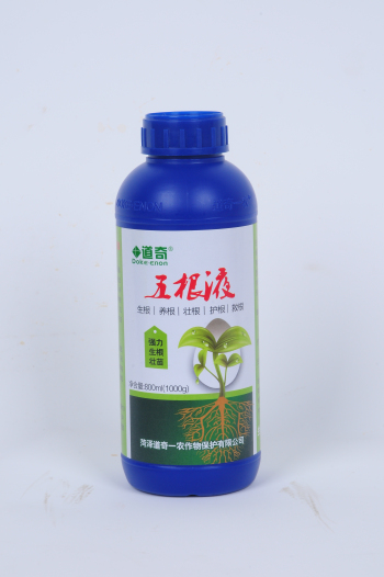 五根液