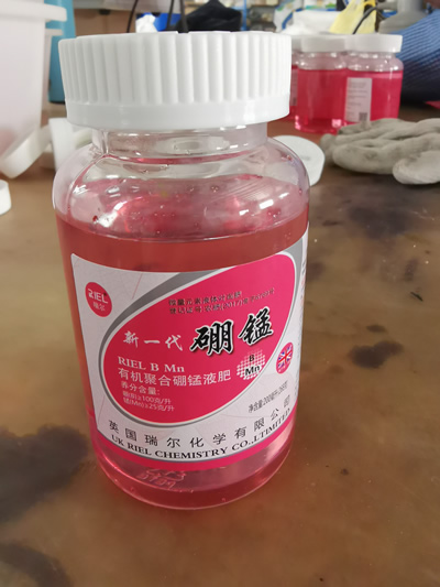 新一代 硼锰