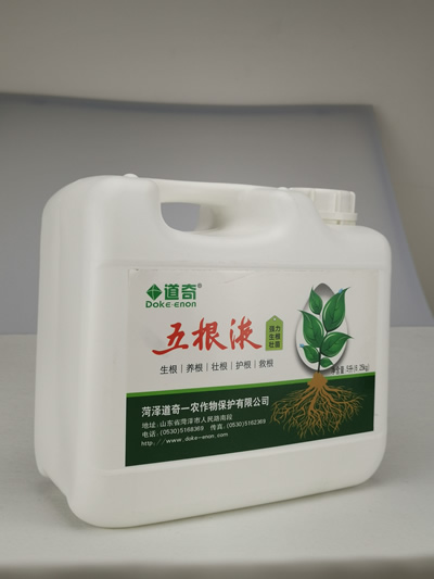 五根液（桶装 新包装）
